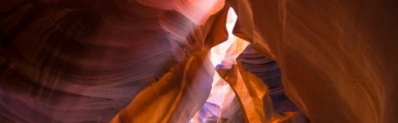 26220665_1567618106678802_2278550007128195482_o