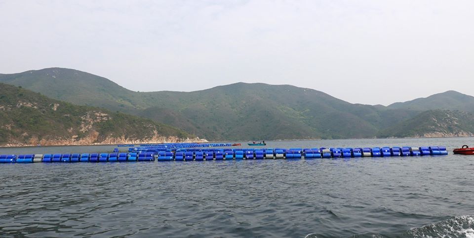 84539533_2791719487538161_6969791448124227584_o